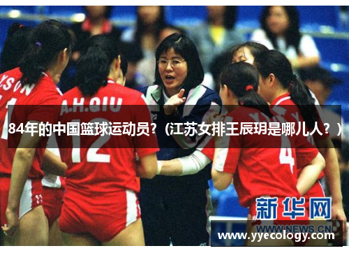 84年的中国篮球运动员？(江苏女排王辰玥是哪儿人？)