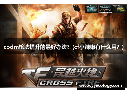 codm枪法提升的最好办法？(cf小辣椒有什么用？)