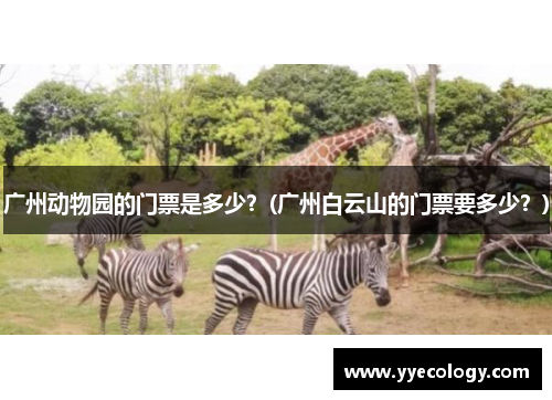 广州动物园的门票是多少？(广州白云山的门票要多少？)
