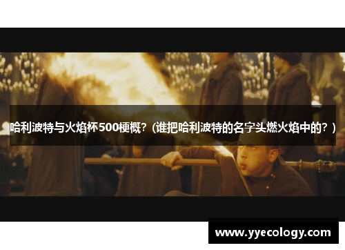 哈利波特与火焰杯500梗概？(谁把哈利波特的名字头燃火焰中的？)