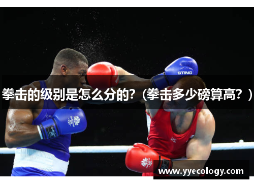 拳击的级别是怎么分的？(拳击多少磅算高？)
