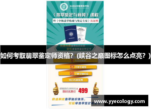 如何考取翡翠鉴定师资格？(峡谷之巅图标怎么点亮？)