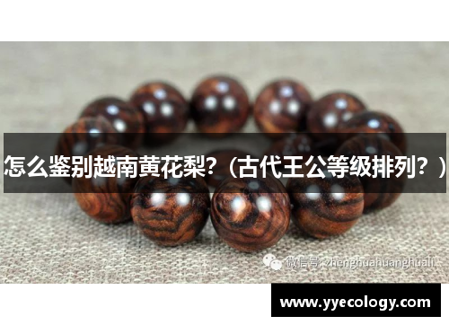 怎么鉴别越南黄花梨？(古代王公等级排列？)
